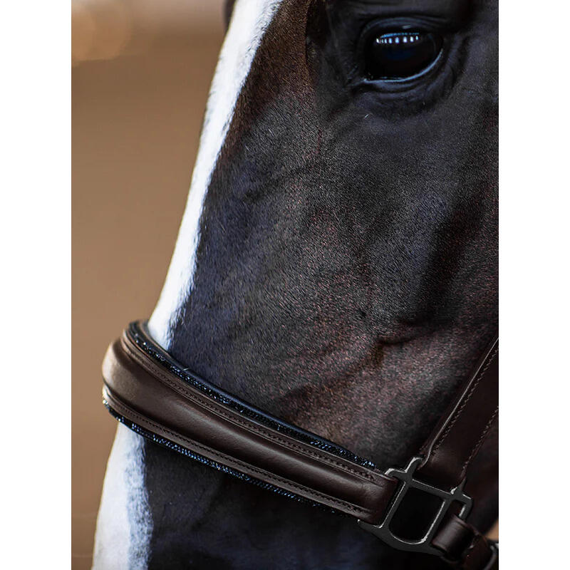 Licol pour cheval en cuir Equestrian Stockholm Glimmer Anatomic 3/4