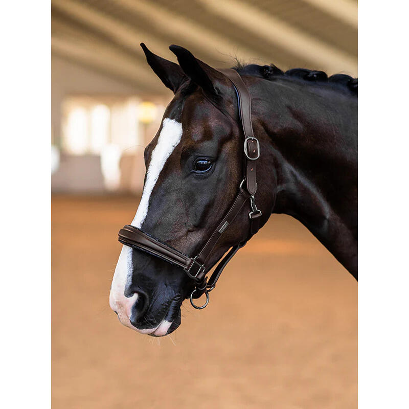 Licol pour cheval en cuir Equestrian Stockholm Glimmer Anatomic 2/4