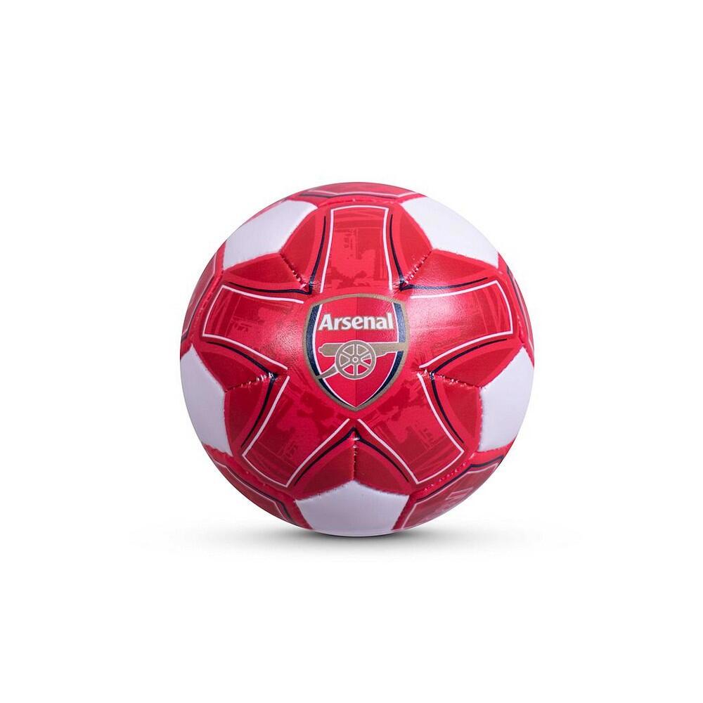 ARSENAL picture