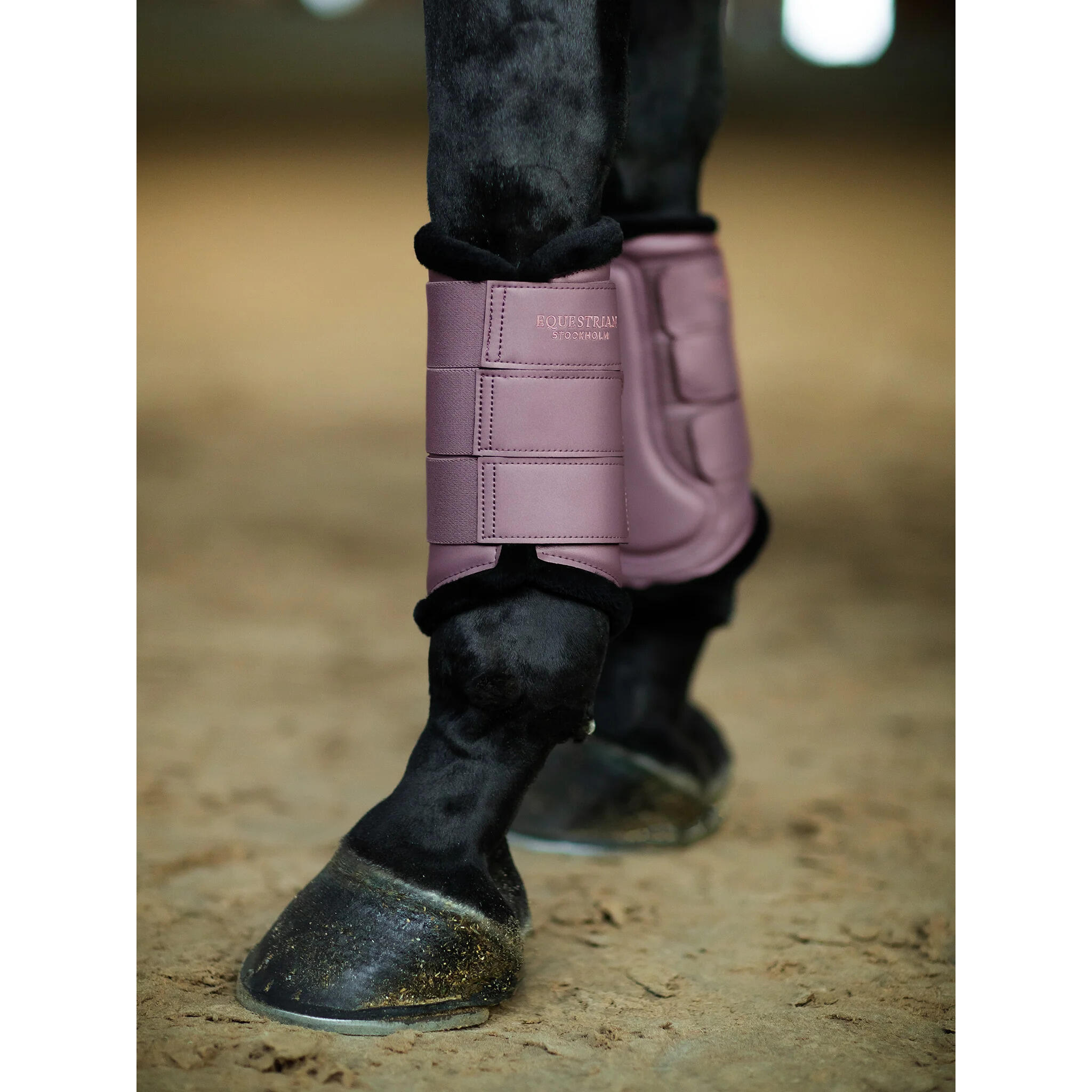Guêtres fermées pour cheval Equestrian Stockholm 2/4