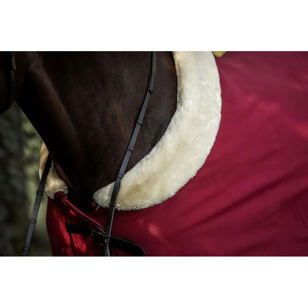 Fleecedeken voor paarden Equestrian Stockholm 5/5