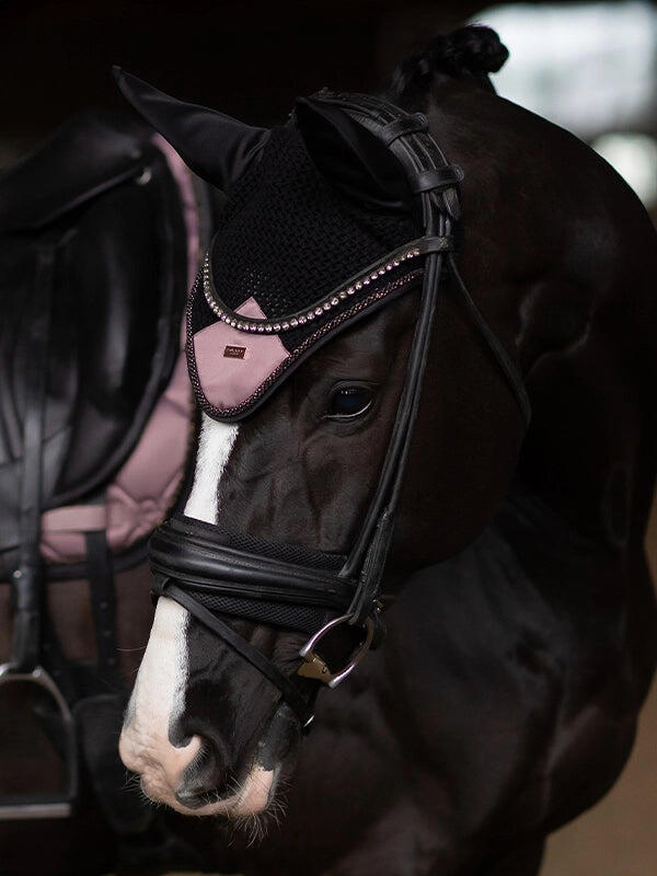 EQUESTRIAN STOCKHOLM picture