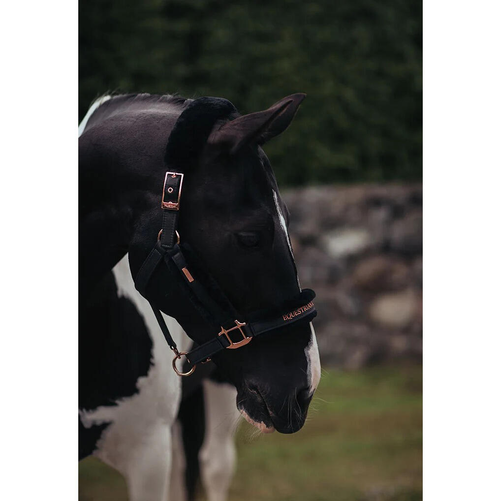 Ensemble licol et longe pour cheval Equestrian Stockholm 3/5