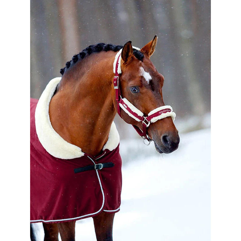 Halster en touwset voor paarden Equestrian Stockholm 3/5