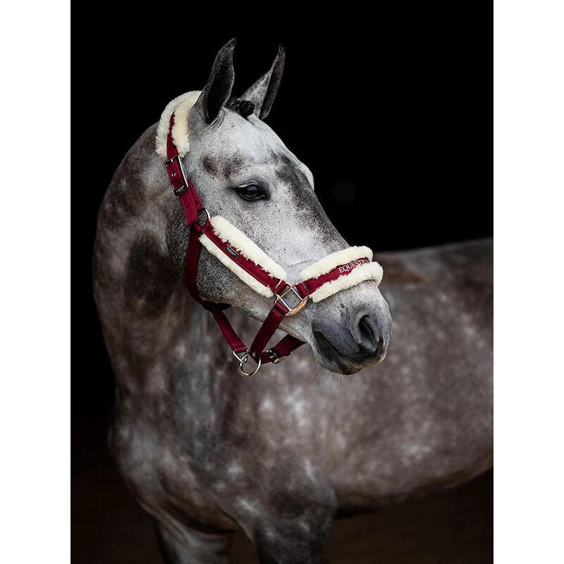 Halster en touwset voor paarden Equestrian Stockholm 2/5