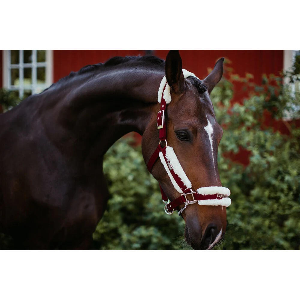 Halster en touwset voor paarden Equestrian Stockholm 5/5