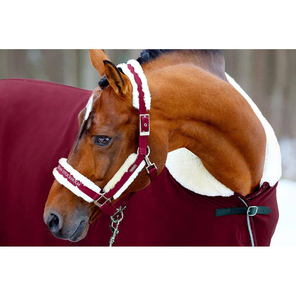 Halster en touwset voor paarden Equestrian Stockholm 4/5