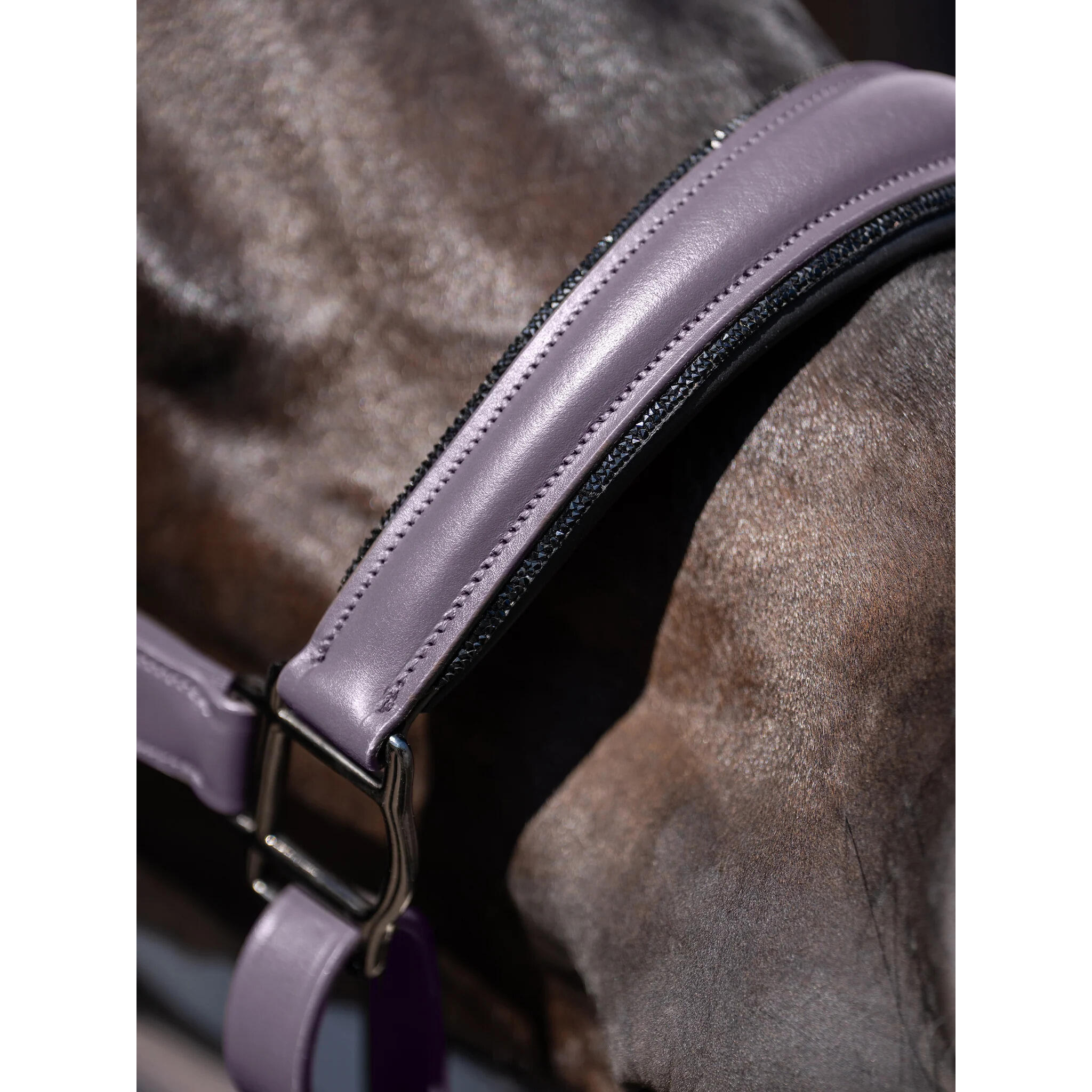Anatomisch halster van glanzend leer voor paard Equestrian Stockholm 2/2