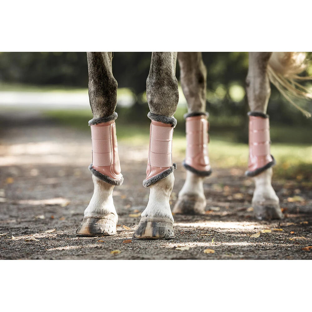 Guêtres fermées pour cheval Equestrian Stockholm 3/3