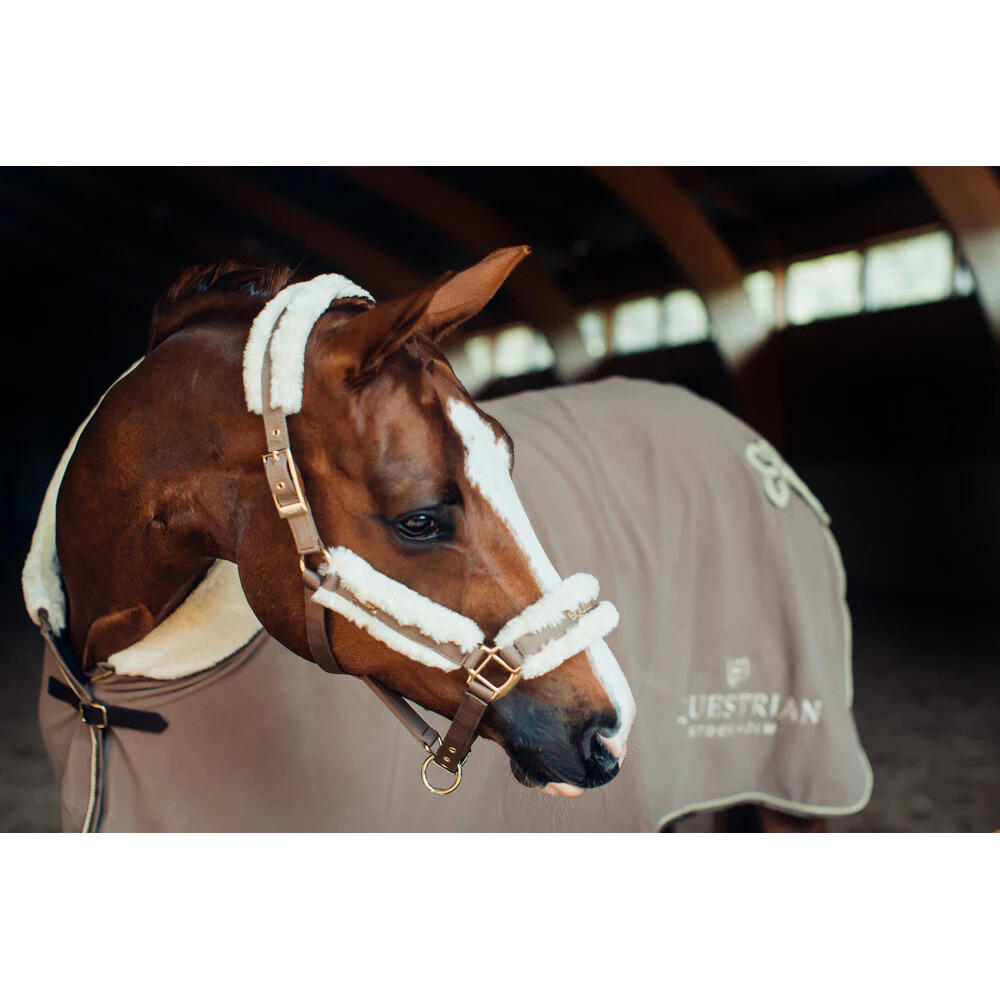 Halster en touwset voor paarden Equestrian Stockholm 3/4