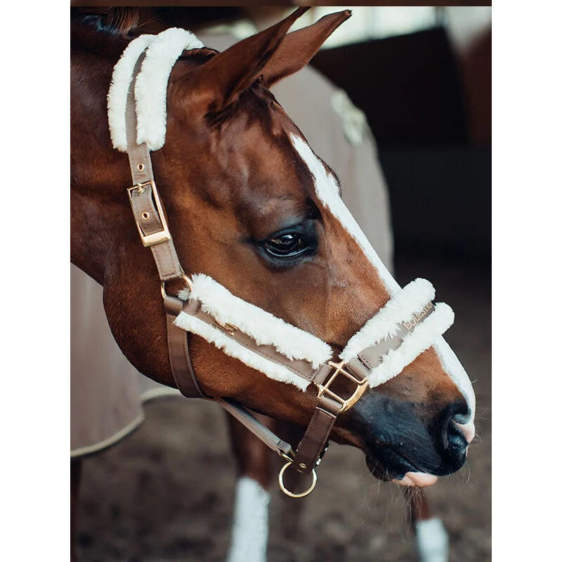 Halster en touwset voor paarden Equestrian Stockholm 2/4
