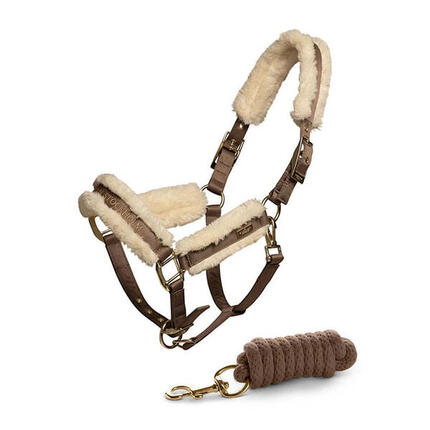 Ensemble licol et longe pour cheval Equestrian Stockholm