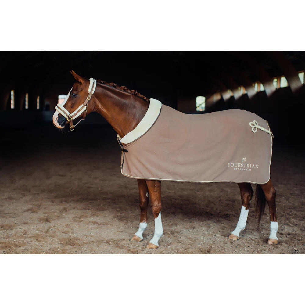 Halster en touwset voor paarden Equestrian Stockholm 4/4
