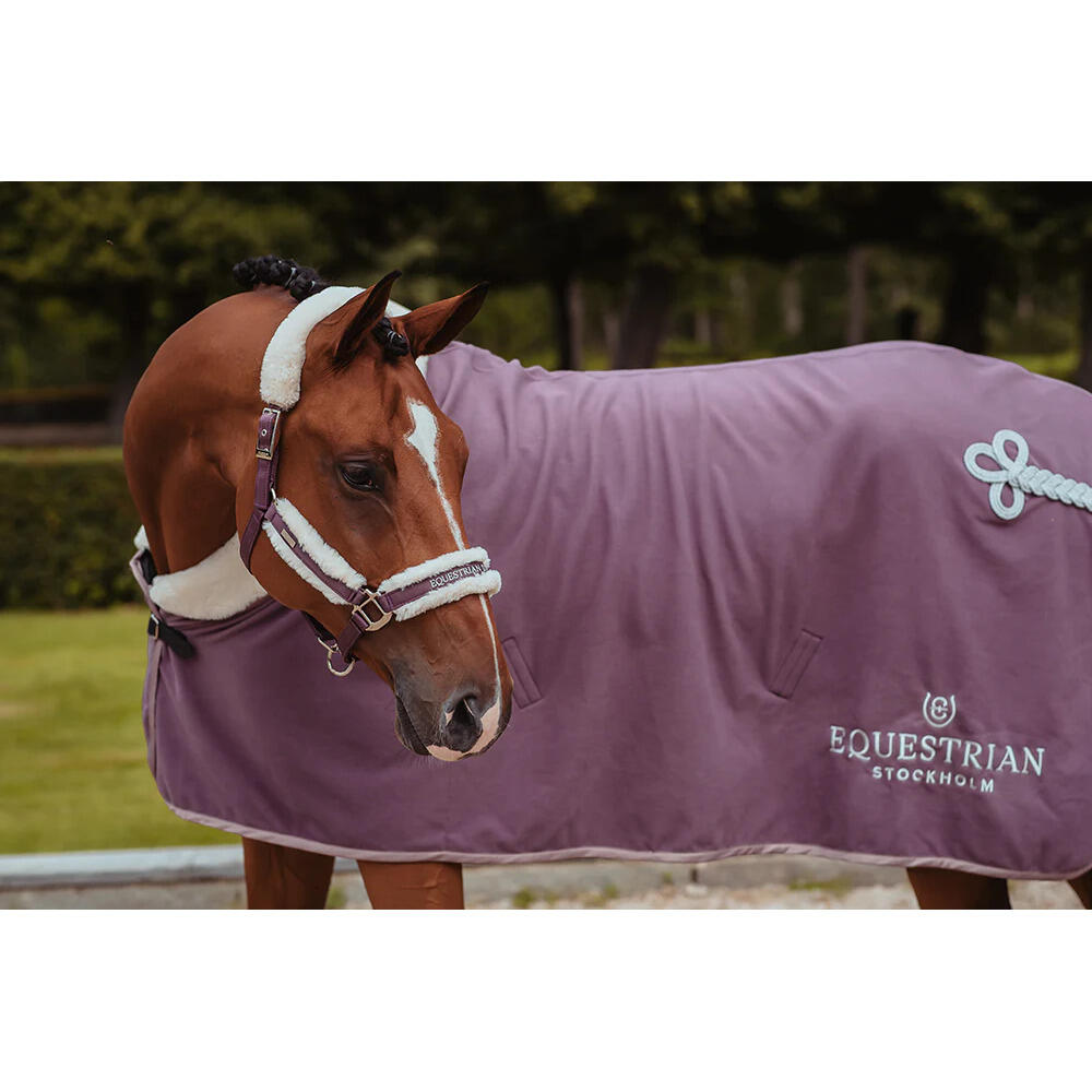 Halster en touwset voor paarden Equestrian Stockholm 3/3