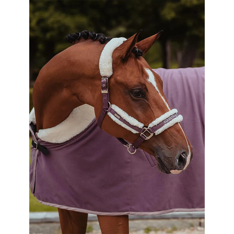 Halster en touwset voor paarden Equestrian Stockholm 2/3