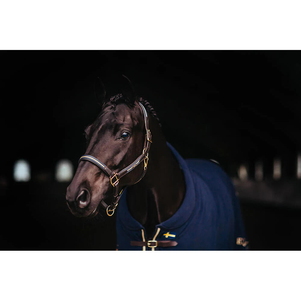 Halter équestre Stockholm + Chaîne De Plomb, Bleu Marine, Argent, Taille Cheval