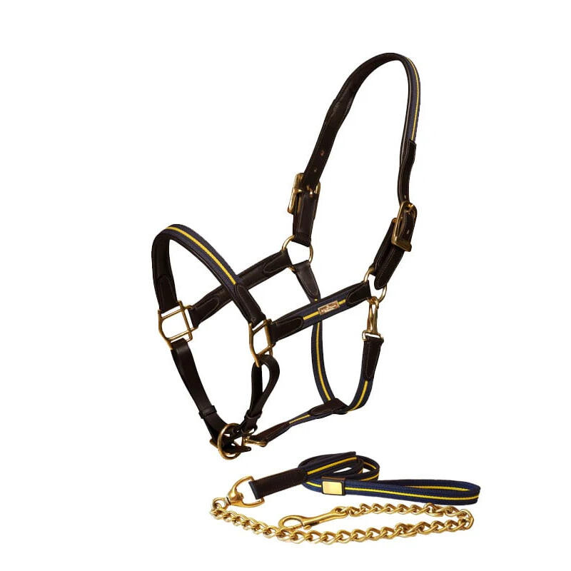 Halsband und Longe fr Pferd aus Leder und Kette Equestrian Stockholm |  Decathlon