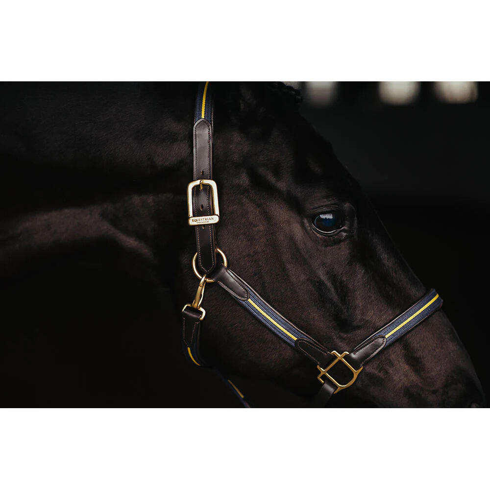 Halsband und Longe für Pferd aus Leder und Kette Equestrian Stockholm 4/4