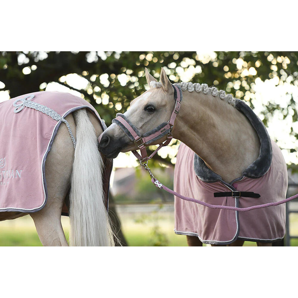 Halster en touwset voor paarden Equestrian Stockholm 3/5