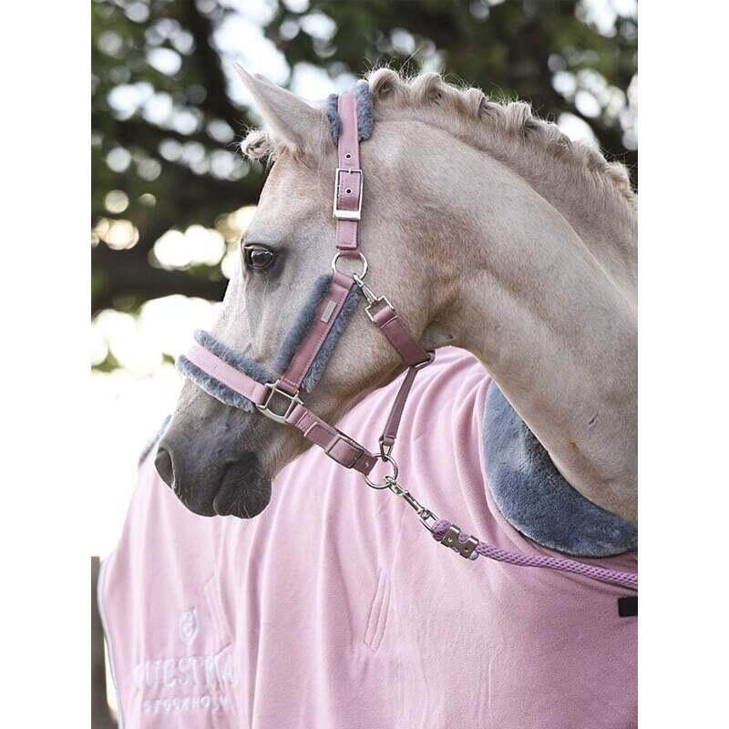 Halster en touwset voor paarden Equestrian Stockholm 2/5