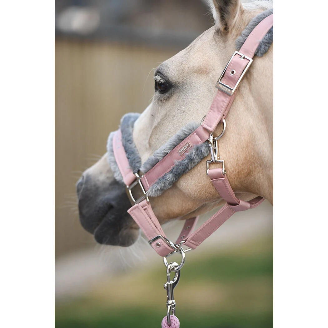 Halster en touwset voor paarden Equestrian Stockholm 5/5