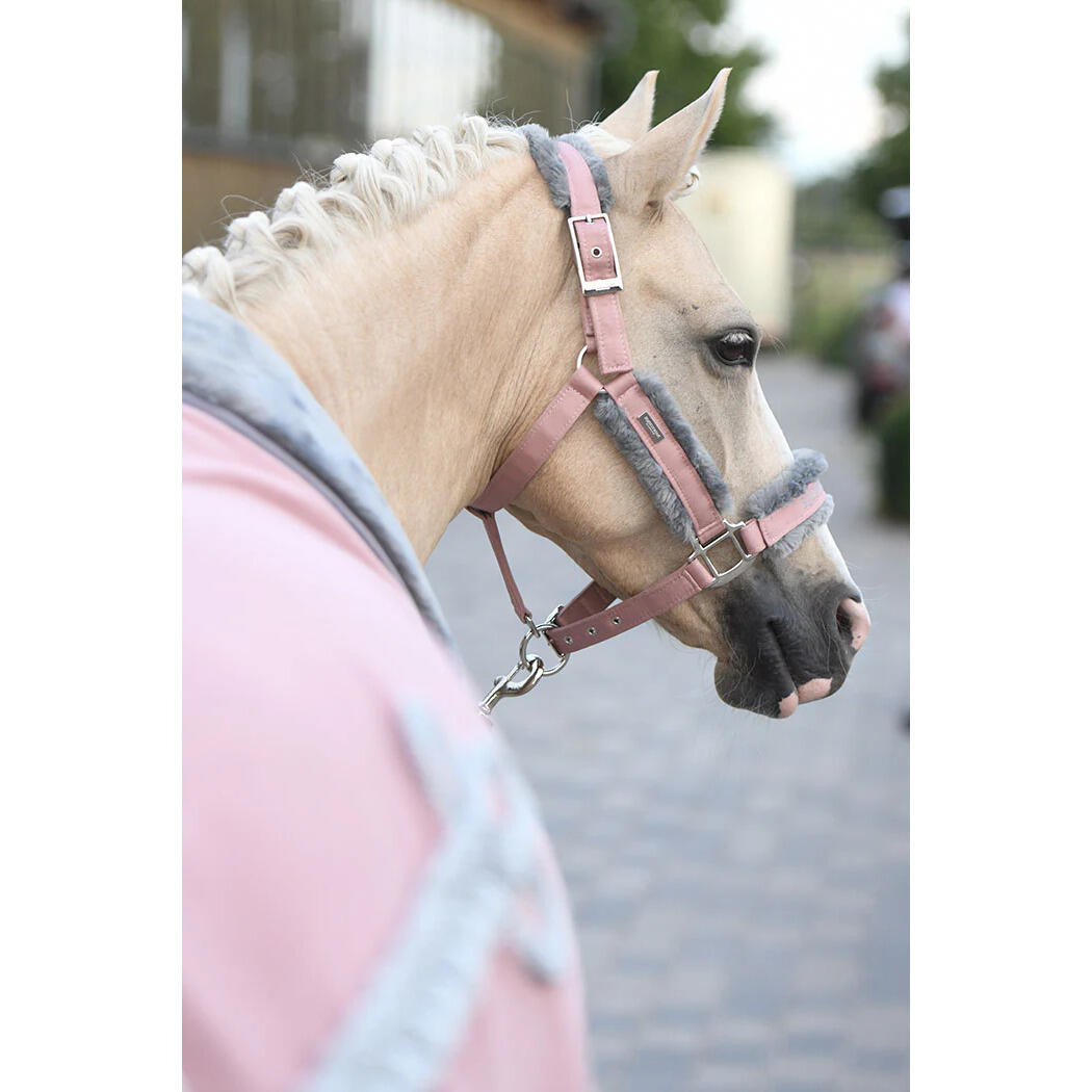 Halster en touwset voor paarden Equestrian Stockholm 4/5