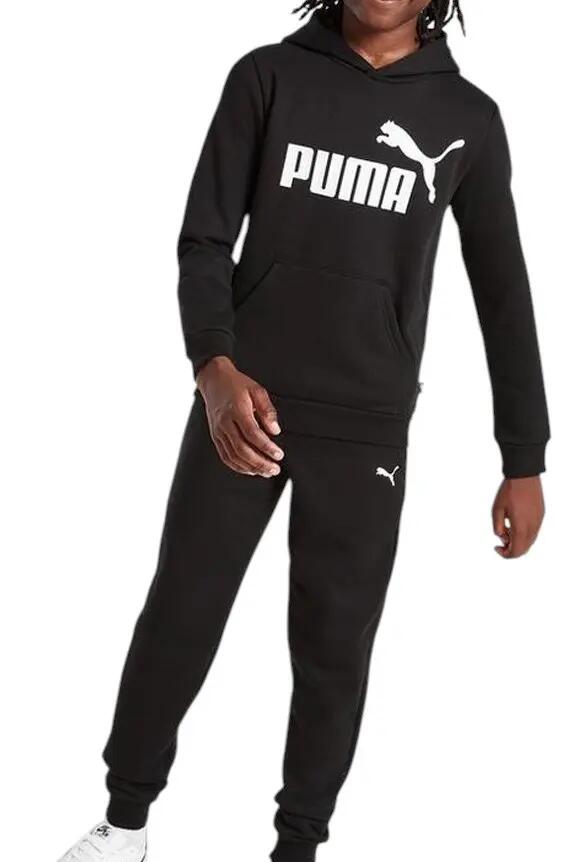PUMA picture