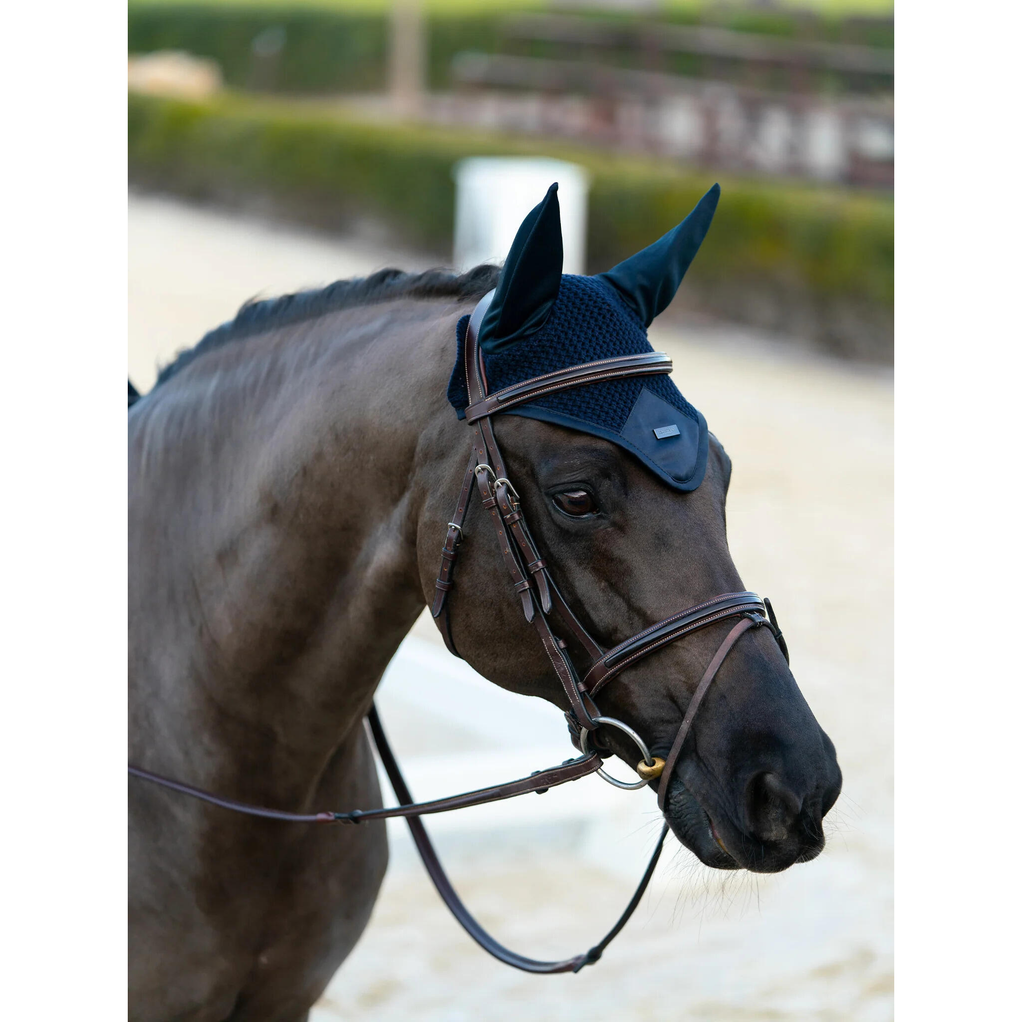 Bonnet court pour cheval Equestrian Stockholm 2/3