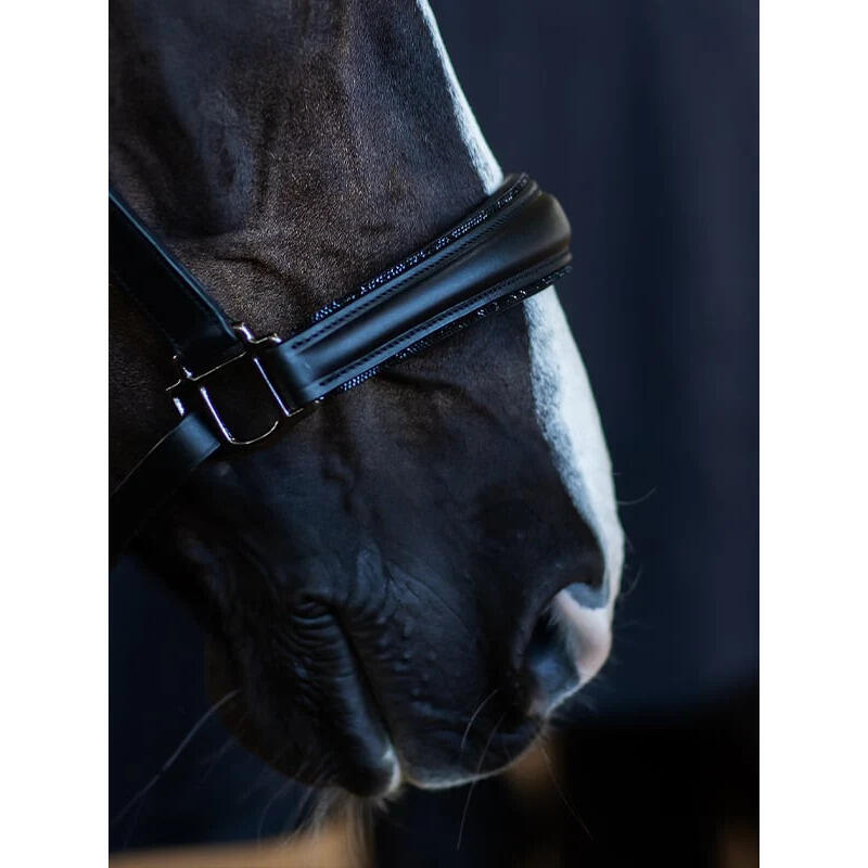 Leren halster voor paarden Equestrian Stockholm Glimmer Anatomic 3/5