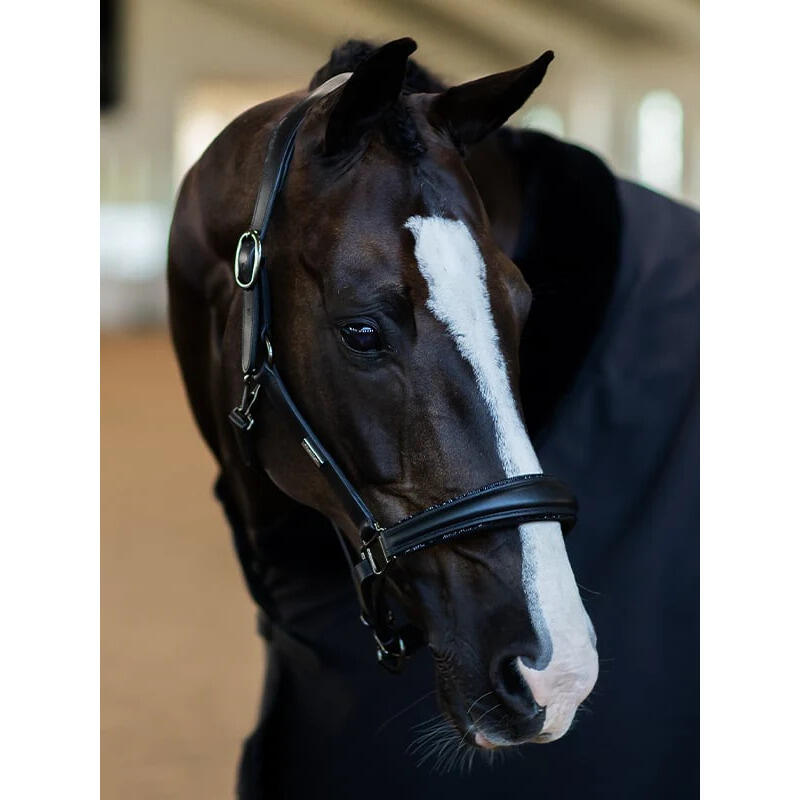 Leren halster voor paarden Equestrian Stockholm Glimmer Anatomic 2/5