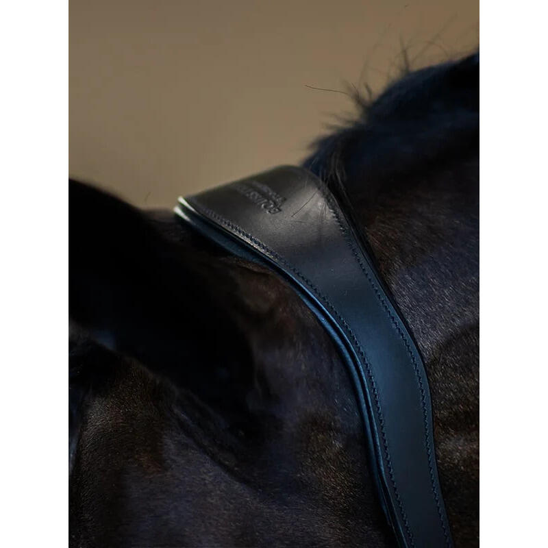 Leren halster voor paarden Equestrian Stockholm Glimmer Anatomic 5/5