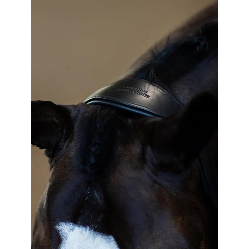 Leren halster voor paarden Equestrian Stockholm Glimmer Anatomic 4/5