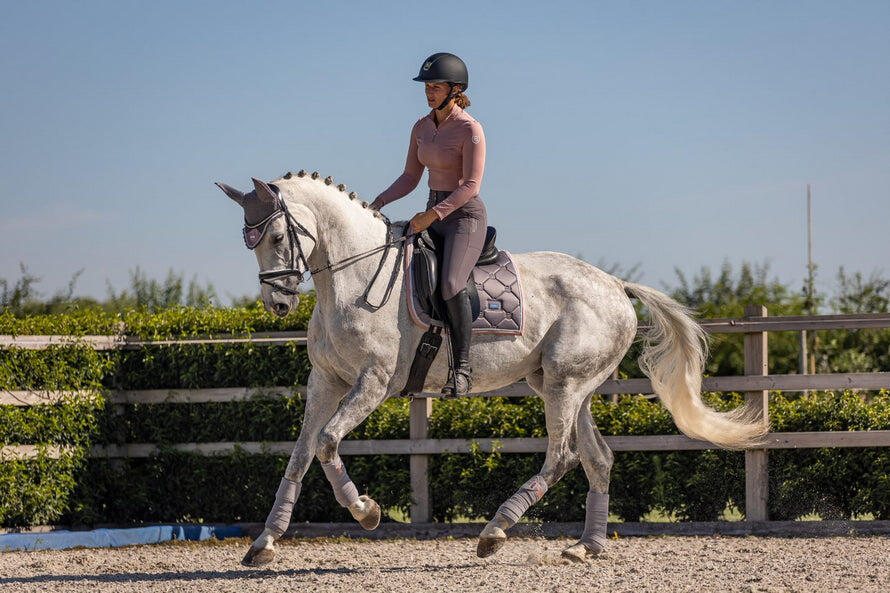 EQUESTRIAN STOCKHOLM picture