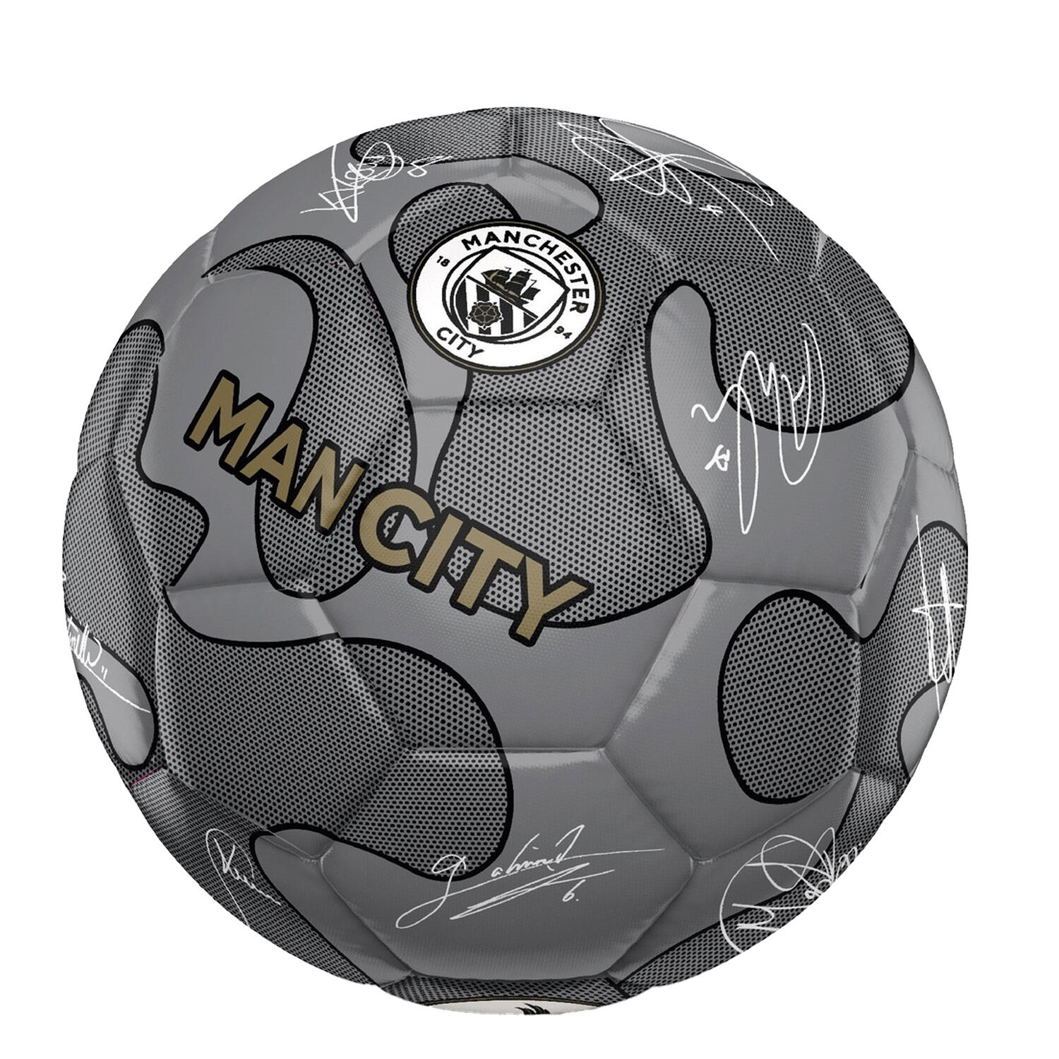 MANCHESTER CITY picture