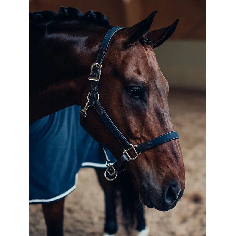 Zestaw kantara i lonży dla konia ze skóry i łańcuszka Equestrian Stockholm 2/4
