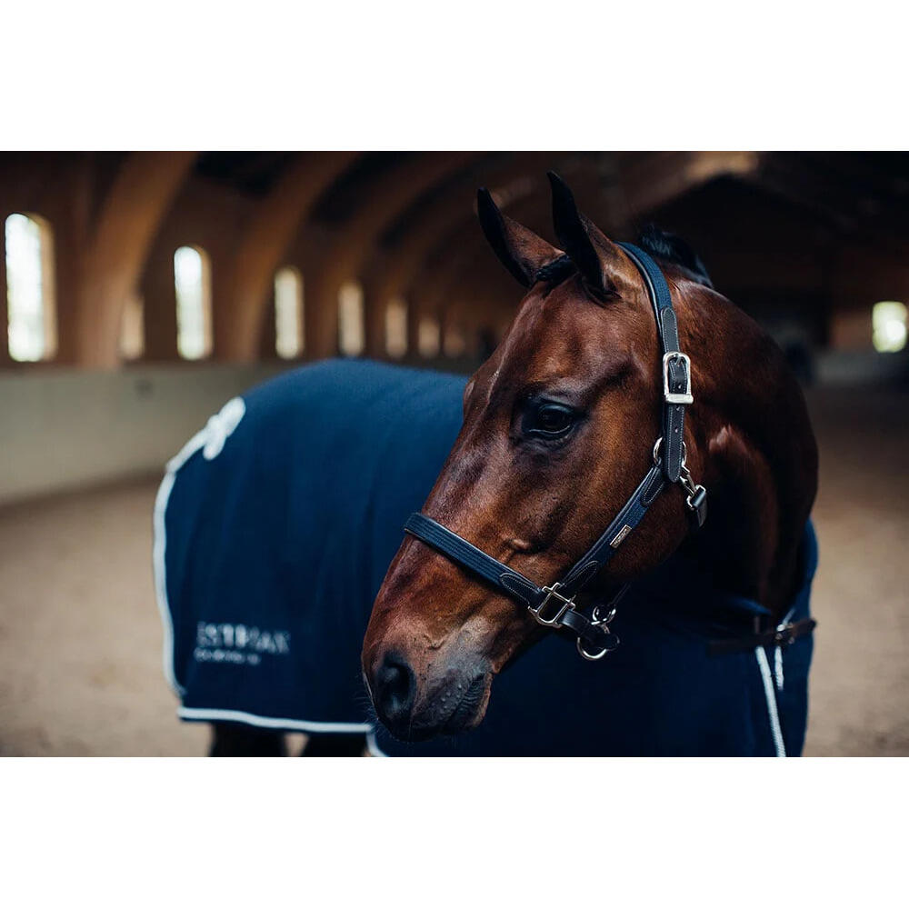 Zestaw kantara i lonży dla konia ze skóry i łańcuszka Equestrian Stockholm 4/4