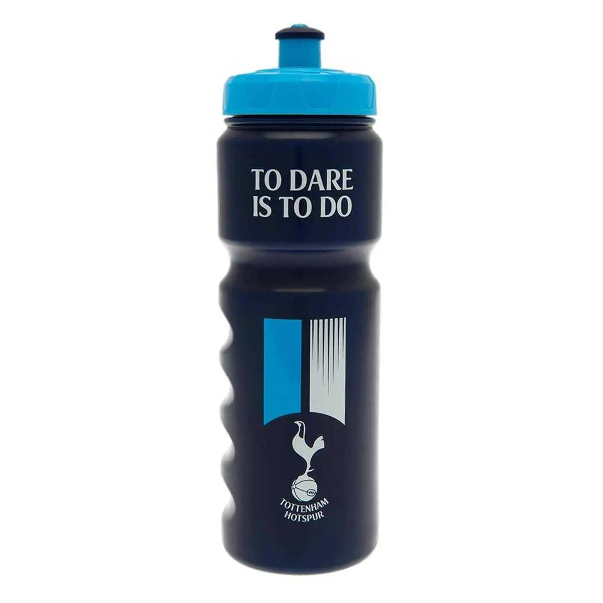 TOTTENHAM HOTSPUR picture