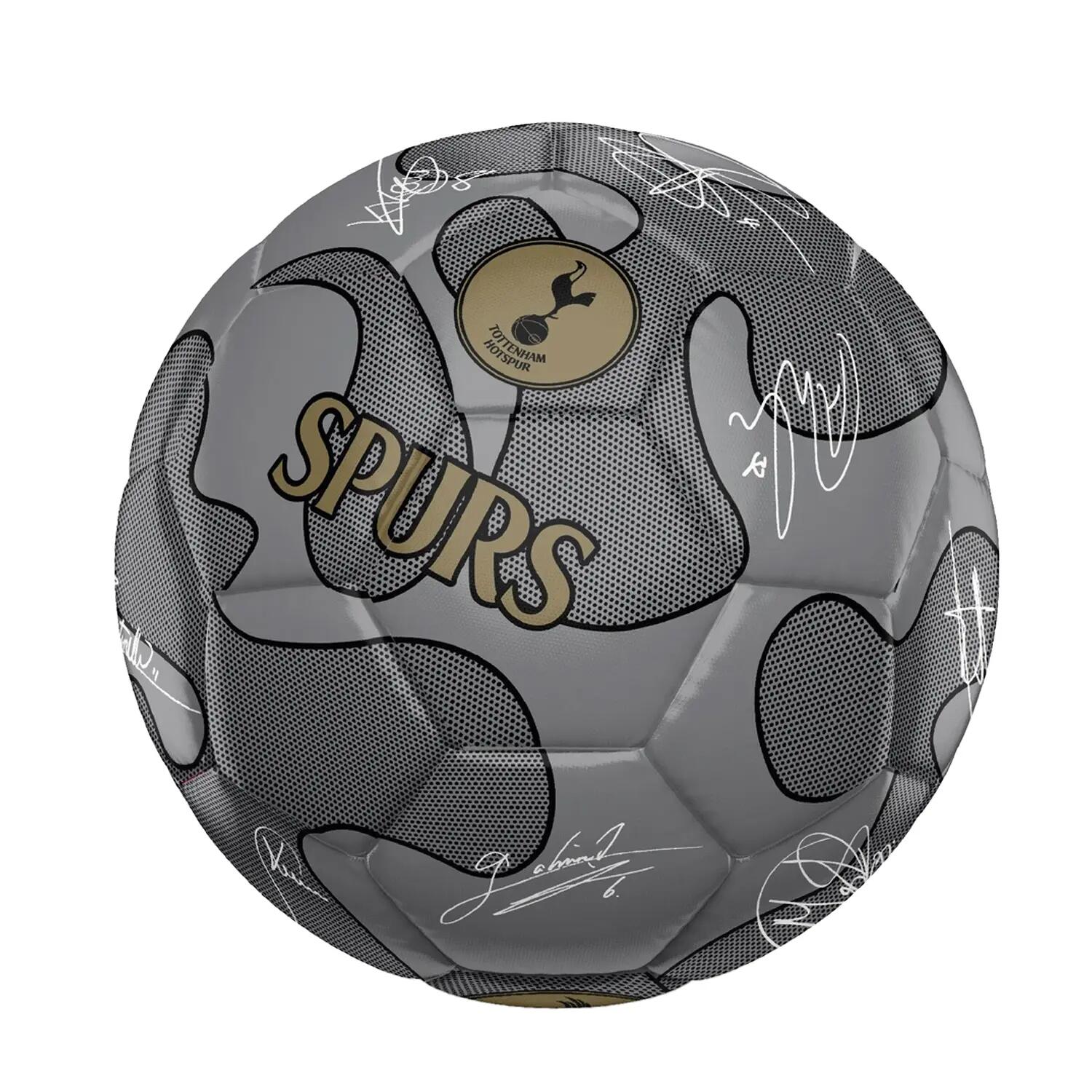 TOTTENHAM HOTSPUR picture