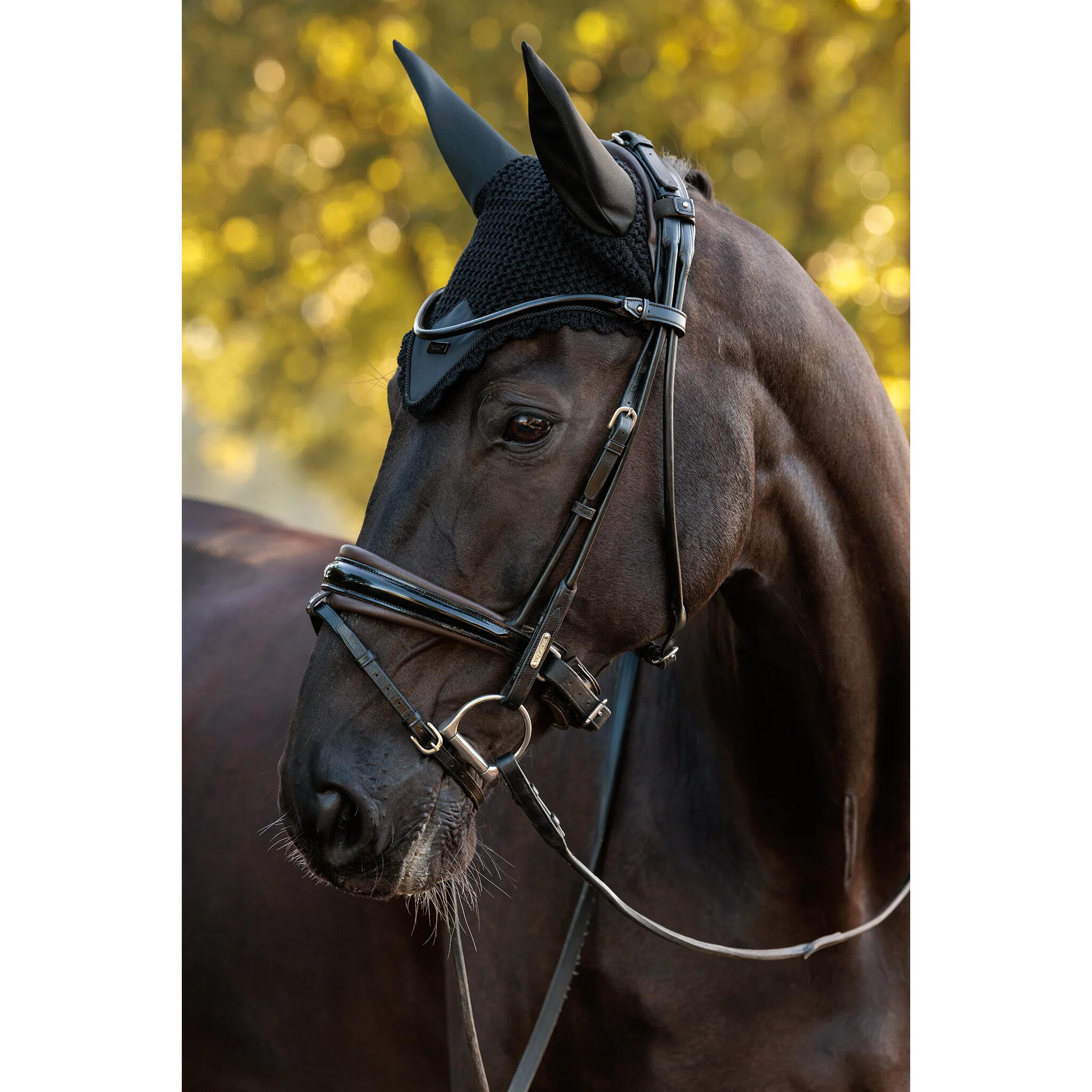 Cuffietta per cavalli Equestrian Stockholm 3/4