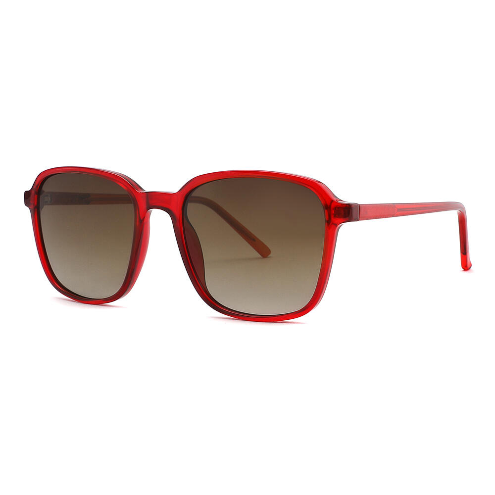 Sunglasses Sexton TK00139 - C3 - 24 Injected Acetate Women 53 mm