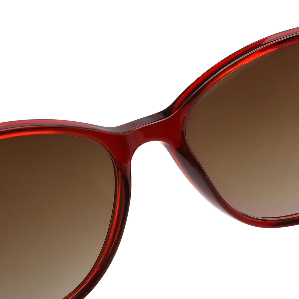 Sonnenbrille Sexton TK00141 - C4 - 24 aus Injiziertes Acetat Damen 53 mm 3/4
