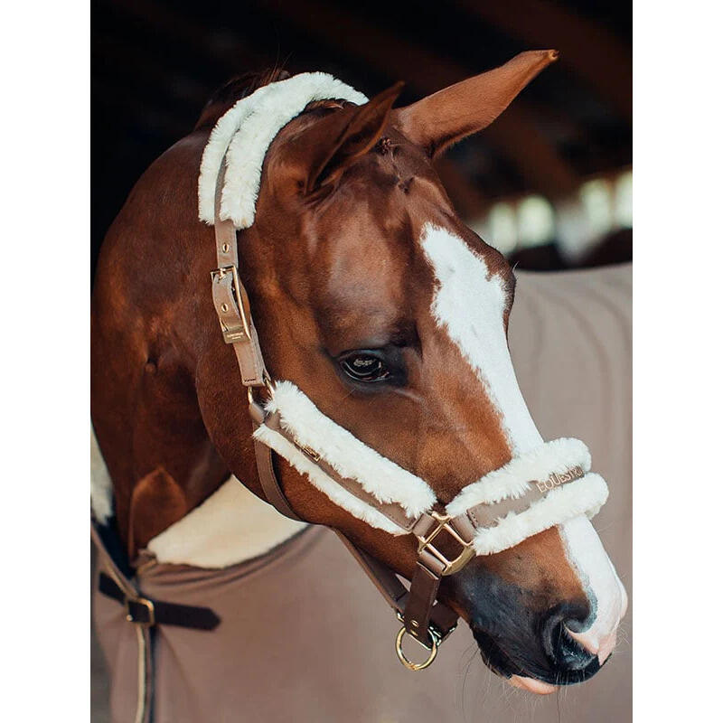 Fleecedeken voor paarden Equestrian Stockholm 2/2