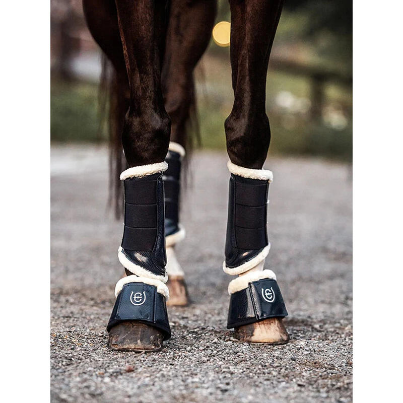 Cloches pour cheval Equestrian Stockholm 2/3