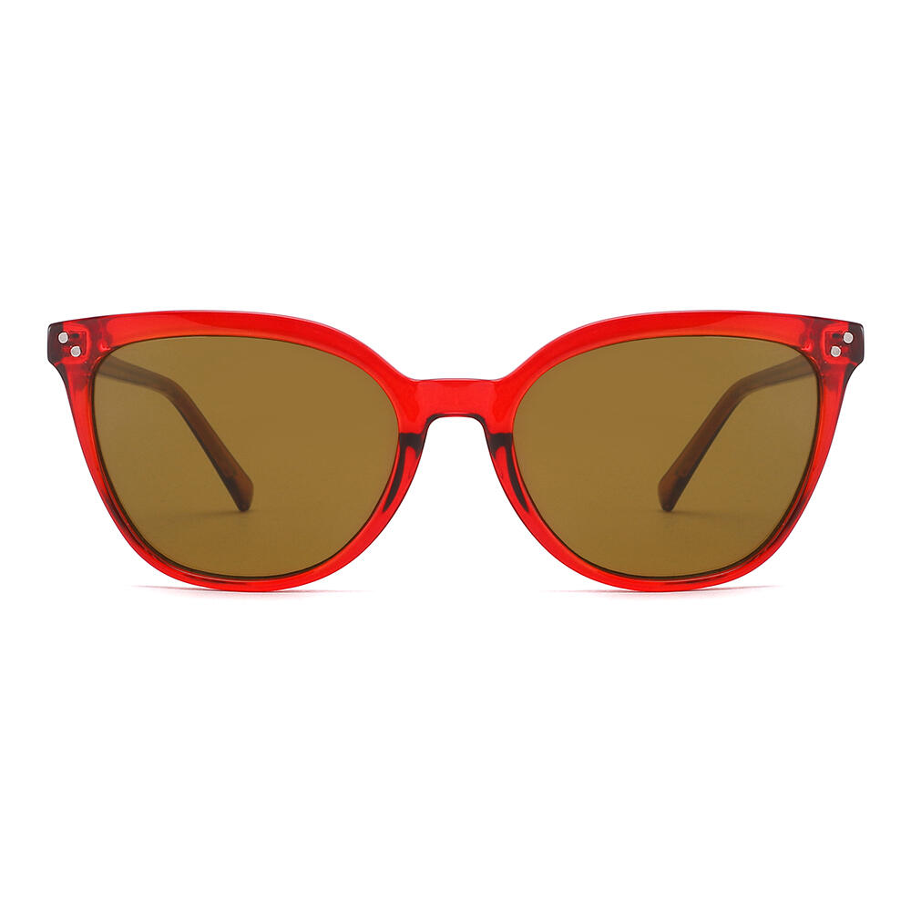 Lunettes De Soleil AC GROUP SEXTON - Marron - Taille 53 20-142 - UV400 Catégorie 3 - Neuf