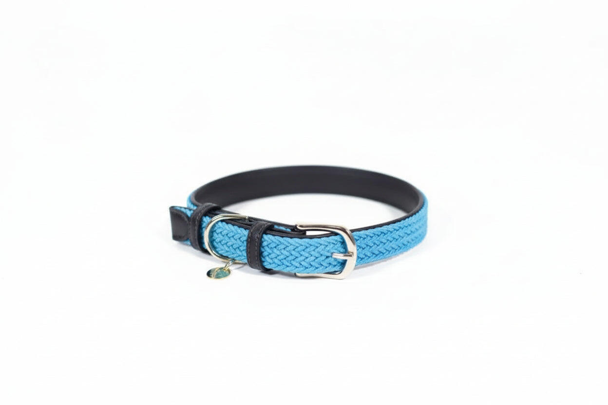 Collare per cane in nylon intrecciato Kentucky 3/7