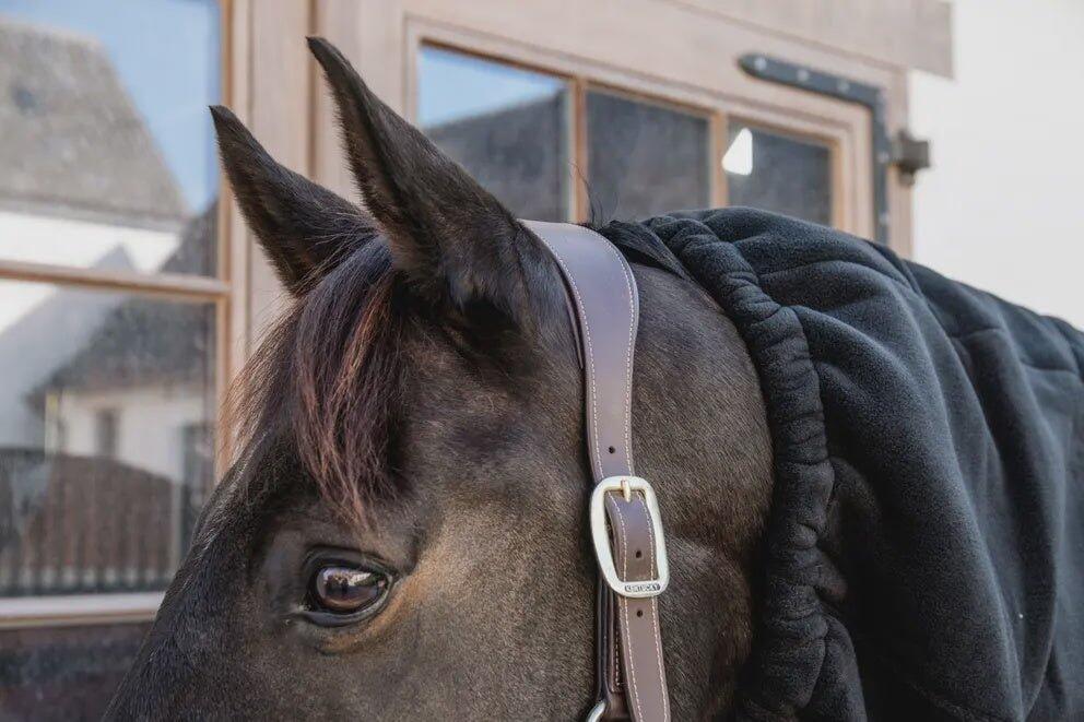 Waterproof Horse scarf classic noir Full 3/7