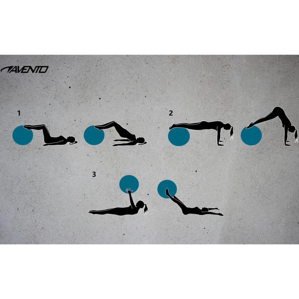 Avento Ballon de fitness/d'exercice Diamètre 75 cm Bleu 3/5