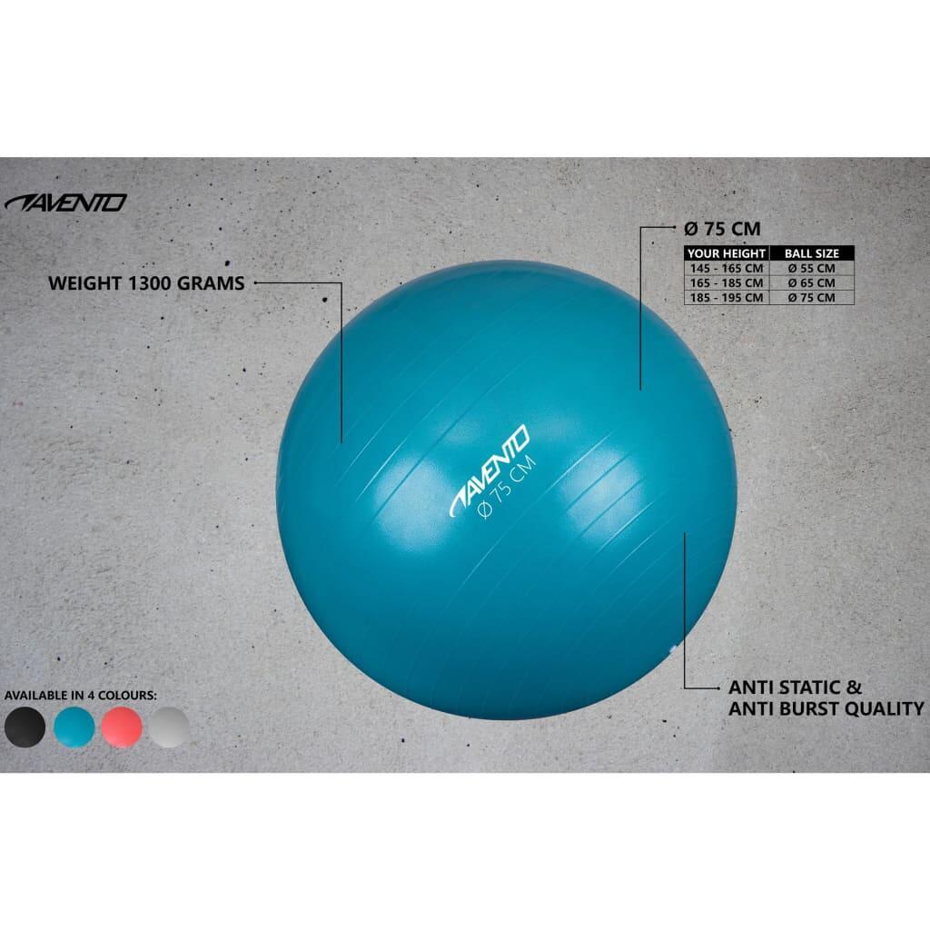 Avento Ballon de fitness/d'exercice Diamètre 75 cm Bleu 2/5