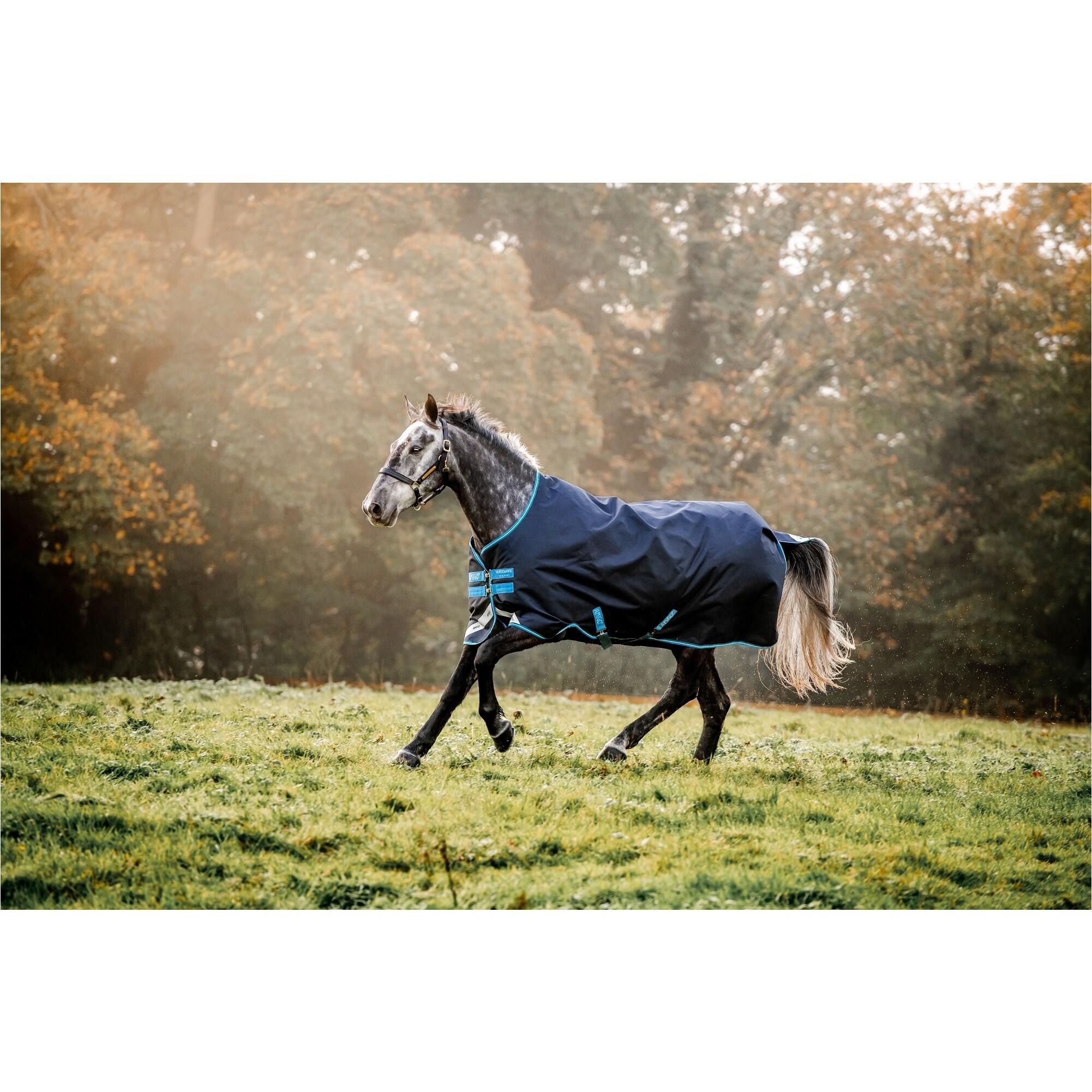 HORSEWARE IRELAND picture