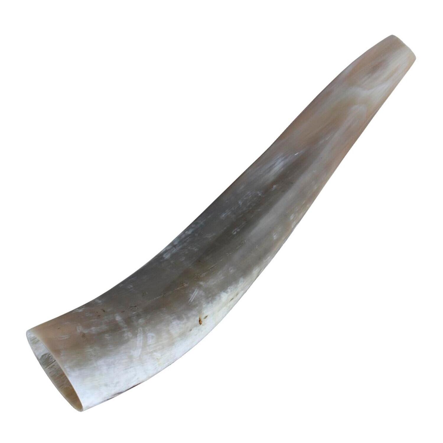 Hirschruf Ochsenhorn 1/6